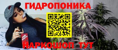 дживик Новодвинск